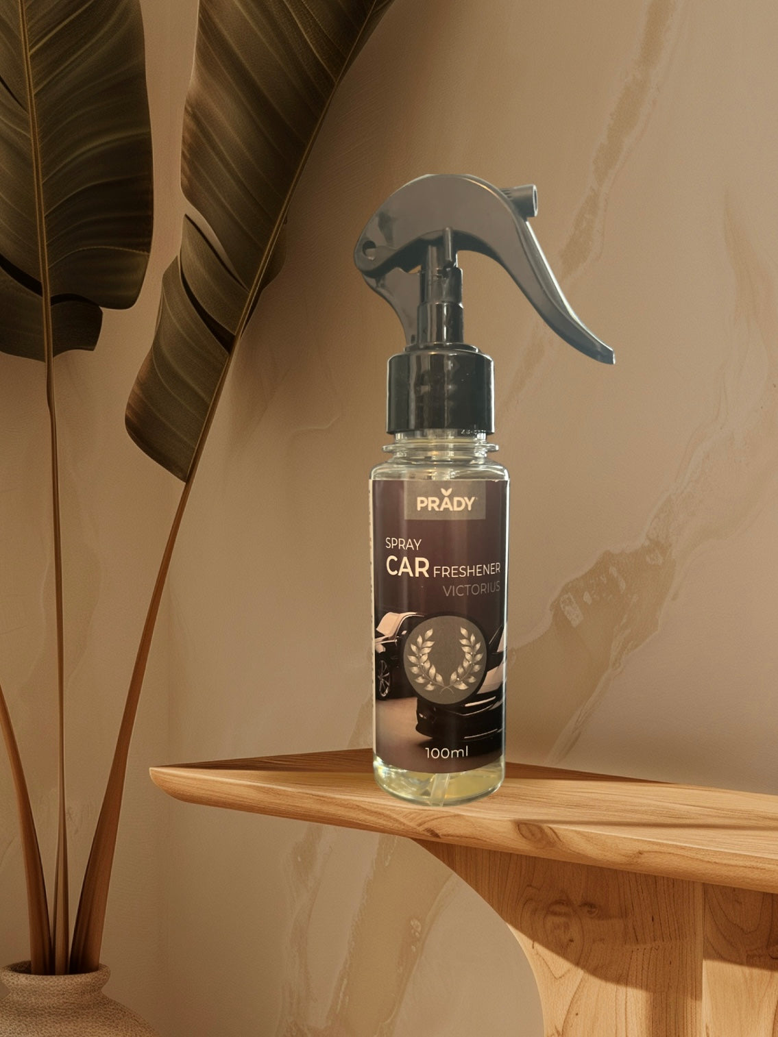 Spray voiture Victorius